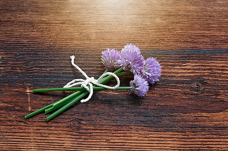 chives, blossom, bloom, federal government, chive flowers, purple, wood