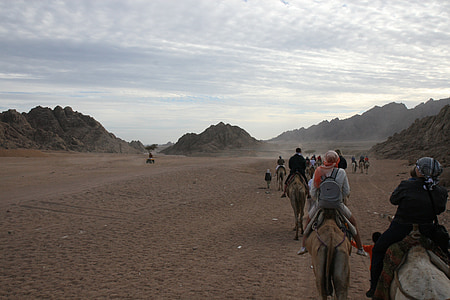 Egypte, avontuur, Camel, woestijn, Afrika