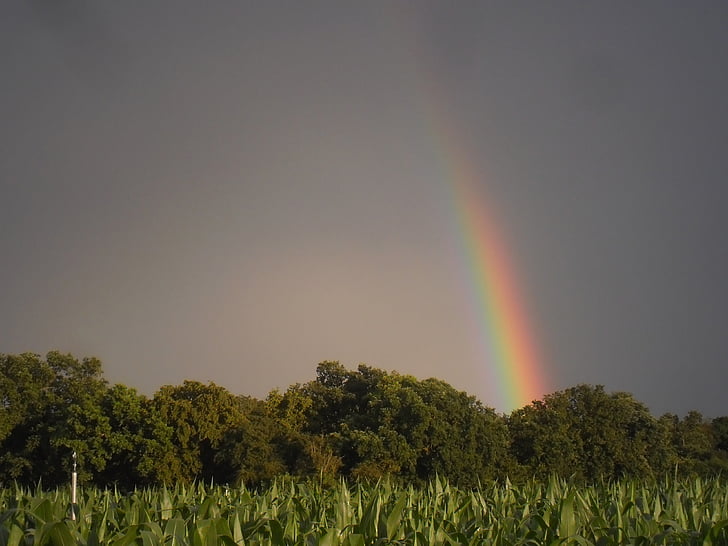 Rainbow, värit, taivas, Luonto, myrsky, Alsace