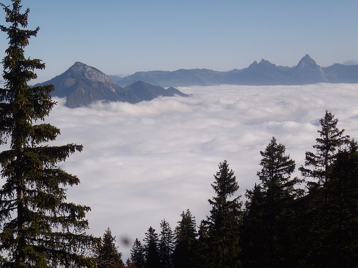 βουνά, ομίχλη, δέντρο, διάθεση, θάλασσα της ομίχλης, klewenalp, τον προορισμό Hergiswil