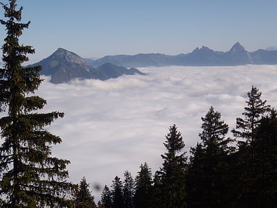 góry, mgła, drzewo, nastrój, morze mgieł, Klewenalp, Beckenried
