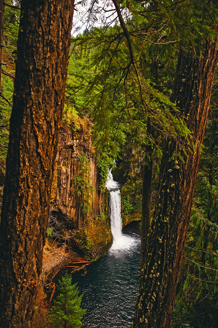 Oregon, muntanyes, cascada, cau, riu, corrent, l'aigua