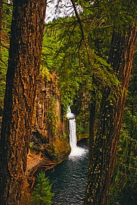 Oregon, Munţii, cascadă, se încadrează, Râul, Stream, apa