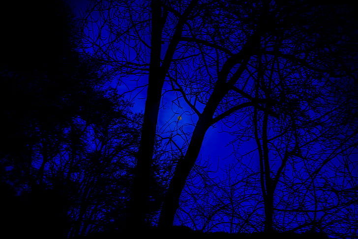 fotografia di notte, Luna piena, cielo notturno, Luna, notte, cielo, esposizione lunga