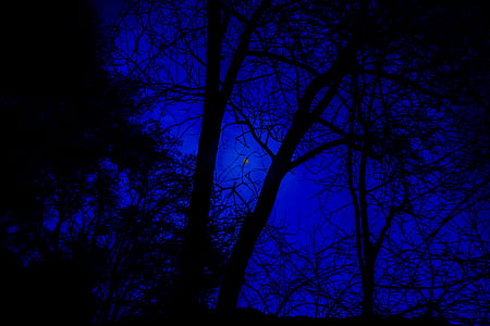 natt fotografi, fullmåne, nattehimmelen, månen, natt, himmelen, lang eksponering