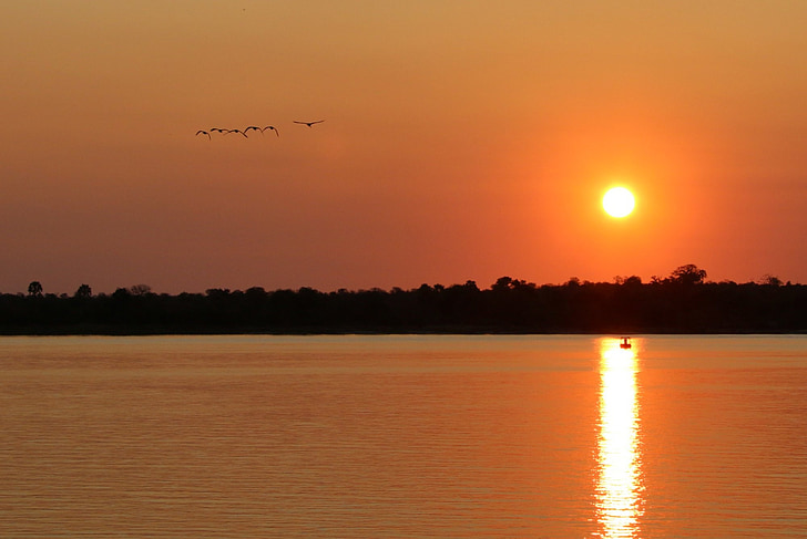 solnedgång, Zambia, Zambezi, vatten, landskap, skymning, vilda