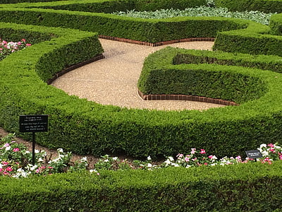 花园设计, 曲线, 迷宫, 绿色, 花, 设计, 自然