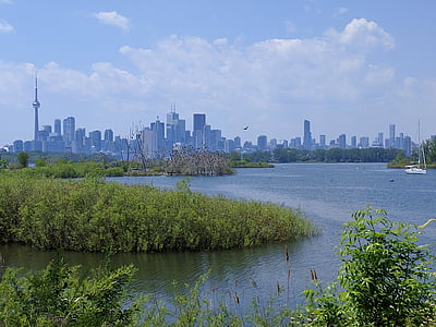 Tony thompson park, Toronto, Kanada, kaupunkipuistoa, vihreä, Ontario, keskusta