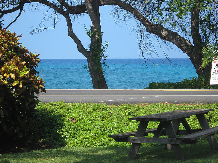 하와이, 큰 iland, 정원, 태평양, 나머지, 브레이크
