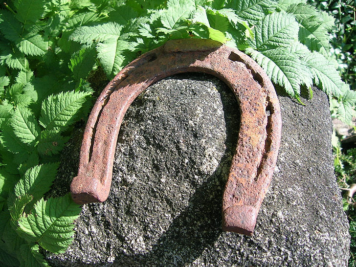 horseshoe, luck, garden, lucky charm, leaves, nature