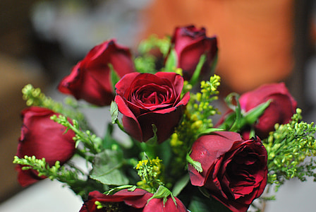 Róża, kwiat, czerwony, zielony, miłość, Dekoracja, kilka