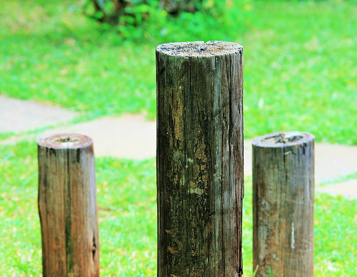 posts, poles, short, wooden, dry, weathered, outdoors