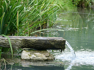 lake, reed, water, landscape, pond, bank, nature