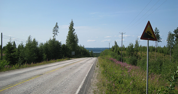 Road, brant nedför, Varning, Finska, sommar, visas i långt, högt upp i den