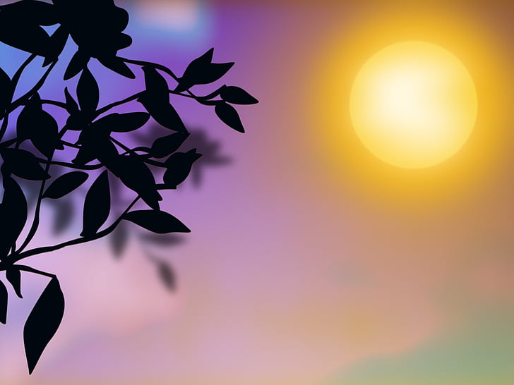 graphics, sunset, purple, nature, autumn leaves, light shade, backlit