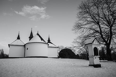 Nhà thờ, thành phố Kecskemét, Arboretum, mùa đông, tuyết, Tháng một, lạnh