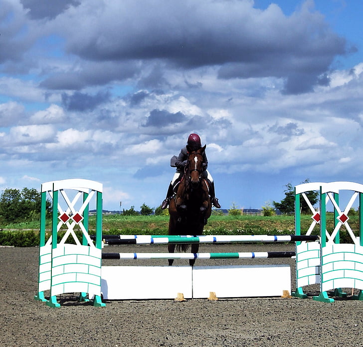 hest, konkurranse rider, konkurranse ridning, konkurranse, hoppe, dyr, landskapet