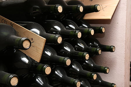 Bordeaux, Frankrike, Winery, källare, röd, vin, flaska