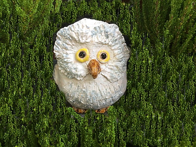 Owl, trắng, Weevil, âm thanh, đóng, con chim, tác phẩm điêu khắc