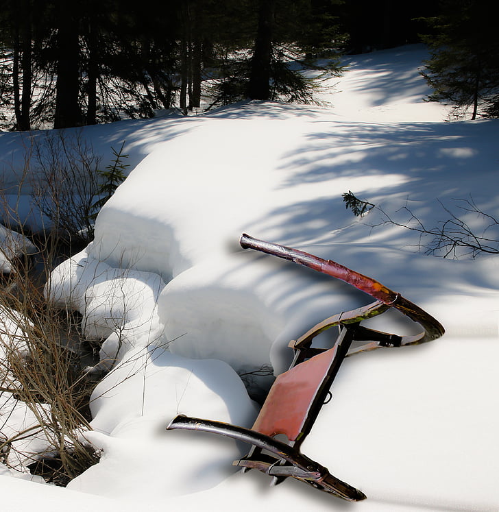 slide, winter, snow, old, historically, horny bob-sleigh, winter forest