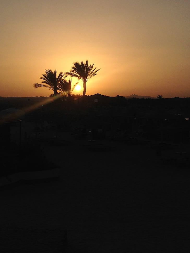 posta de sol, palmes, Egipte, ambient