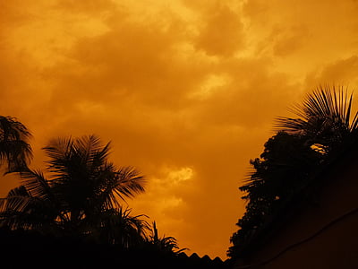 Sunset, Re sky, Luonto, Palmu, taivas, trooppinen ilmasto
