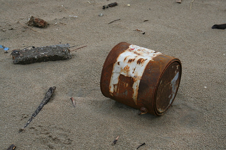 Bãi biển, Bãi biển xơ len, xử lý chất thải, vẫn còn sống, trong nháy mắt