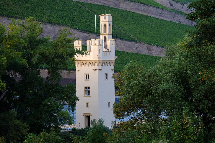 Torre del ratón, Bingen, Torre, antiguo, históricamente, imposición de, casa histórica
