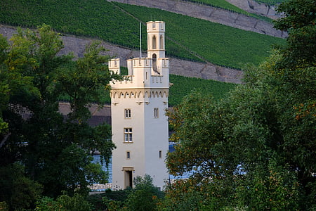 マウス タワー, ビンゲン, タワー, 古い, 歴史的に, 課す, 歴史的な家