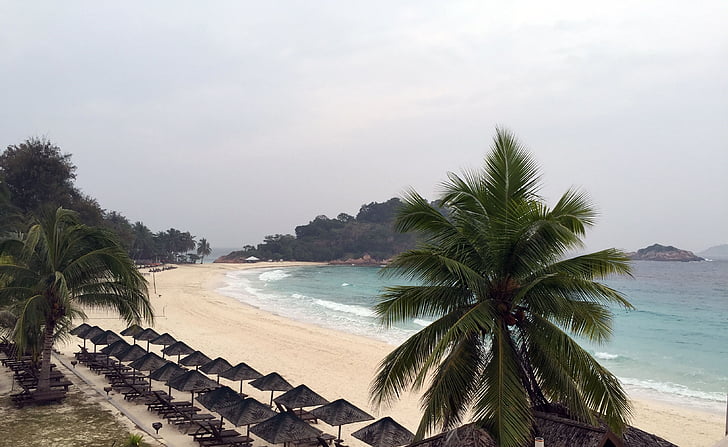 Redang island, Tropical beach, Plaża, Ocean, morze, palmy, Latem