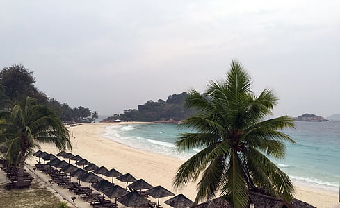 Реданг остров, тропический пляж, пляж, океан, мне?, Пальмовые деревья, Лето