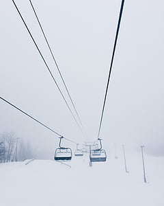 black, cable, cars, near, trees, fogs, snow