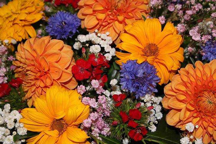 kwiaty, wiosna, kolorowe, bukiet, kwiat, Natura, żółty