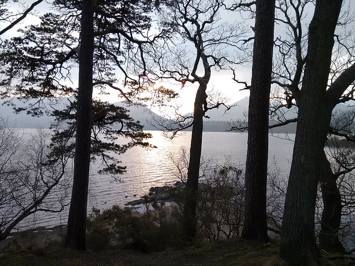 drzewa, Jezioro, zajazdu, Keswick, Lake district, Cumbria, Anglia