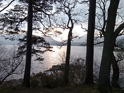 arbres, Lac, eau de Derwent, Keswick, Lake district, Cumbria, l’Angleterre