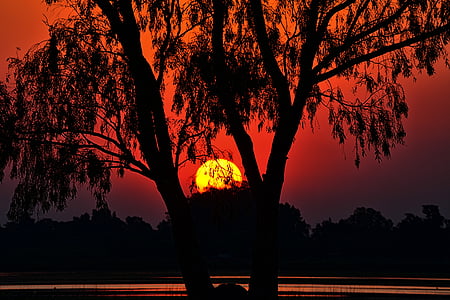 sunset, landscape, tree, silhouette, tree trunk, outdoors, night
