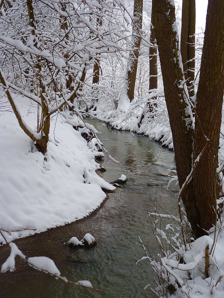 bach, water, waters, wintry, winter, cold, snow