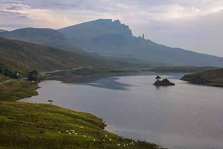 Escocia, oveja, montaña, Isla, agua