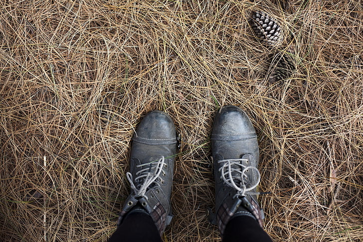 beautiful, boots, close-up, color, conifer cone, footwear, hay