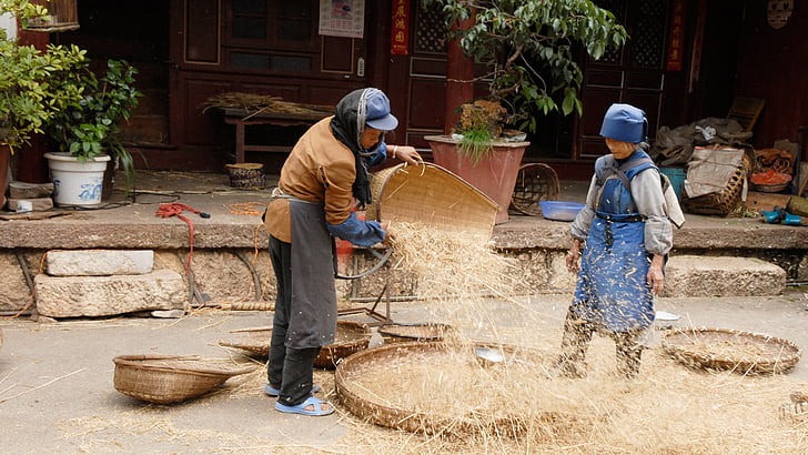 china, agriculture, harvest, hand labor, manual Worker, working, men