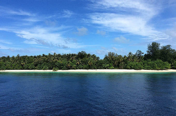 Malediwy, Wyspa, piękna plaża, ciepłe, palmy, wymarzony urlop, egzotyczne
