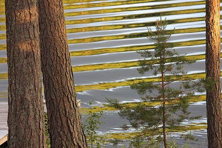 езеро, Saimaa, вълни, разсъмване