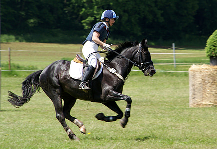 Ride, cheval, Reiter, concours, équitation aux Jeux, mouvement, sauter