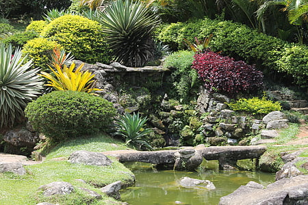 cascatinha, Сад, Ландшафтный дизайн, Природа, Садоводство, Украшение сада