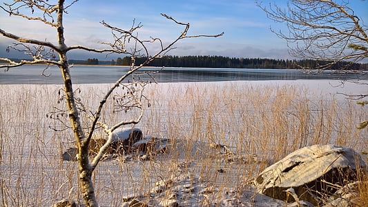 vinter, stranden, Finska, kalla, landskap