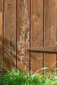 tettoia porta, rustico, marchi Vespa, facendo il nido di vespe, costruzione, trama, erba