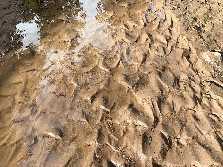 riverbed, creek, creek bed, fractals, river sand, stream, water