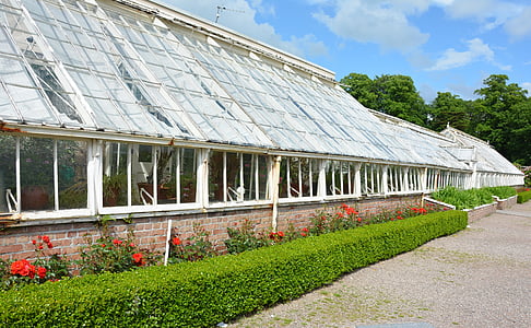 greenhouse, historically, old, ireland, county kerry, muckross house, killarney