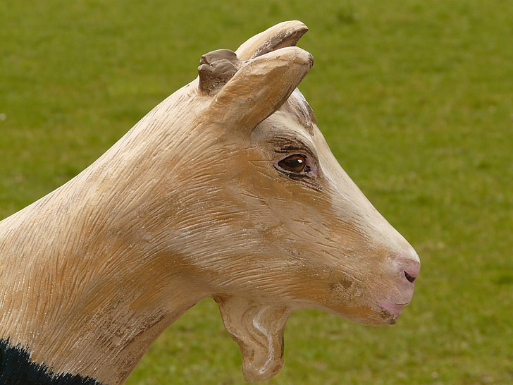 goat, geiss, chamois, animal, baby goat, wood, carving