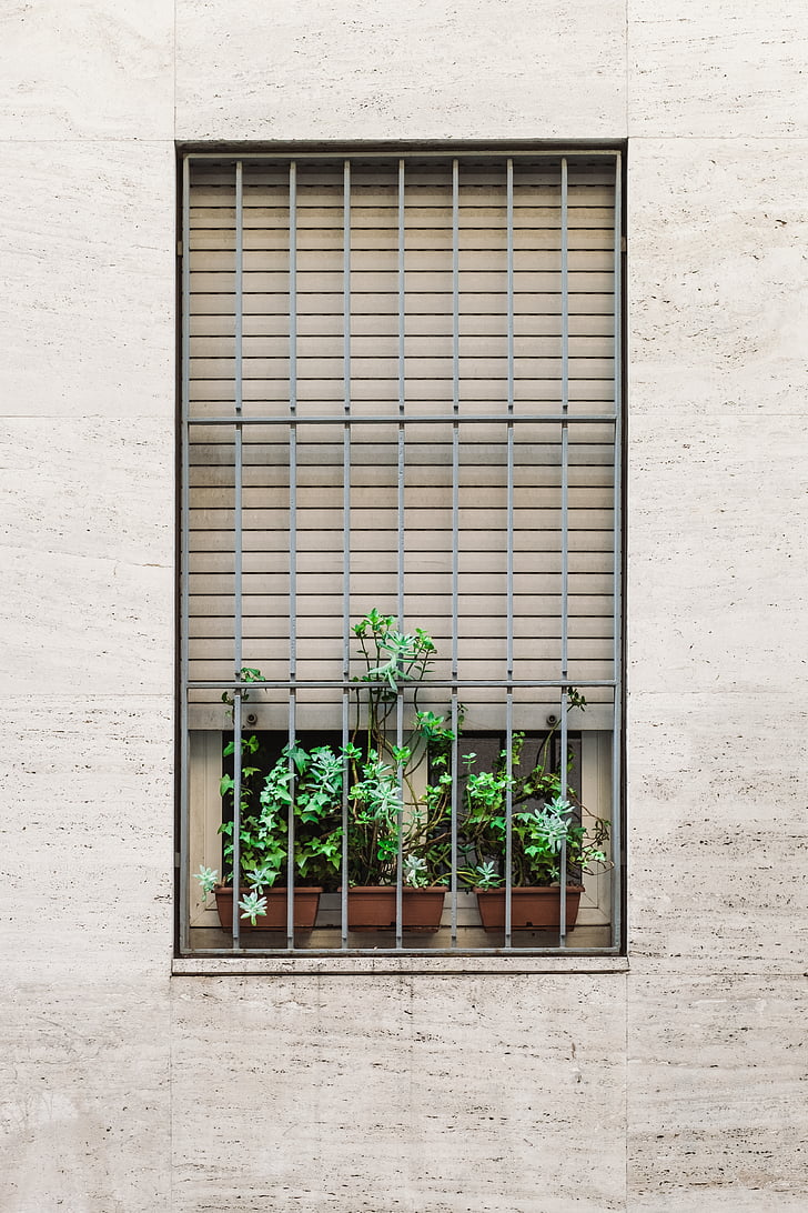 symmetry, aesthetics, windows, grills, plants, garden, pot